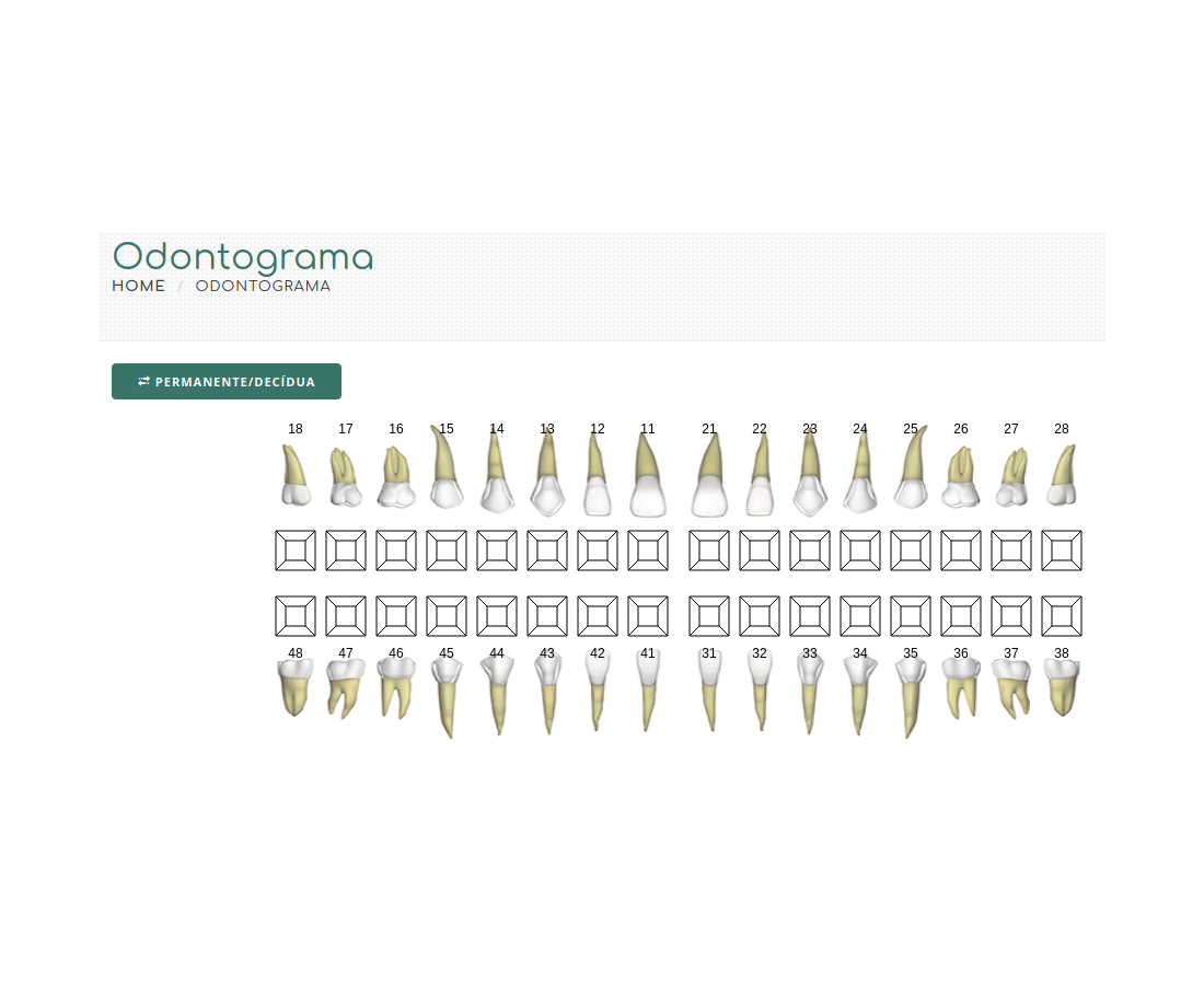 Odontograma Permanente